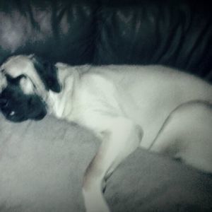 Meet your Posher, Elissa